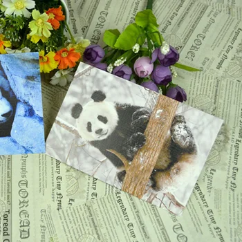 10шт Очаровательных открыток с пандами Серия фотографий Животных Открытка Душа ребенка Подарок на День Благодарения